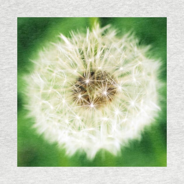 Dandelion Sparkle by RFMDesigns